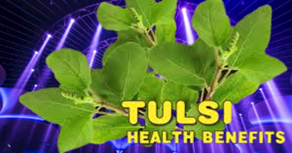 HEALTH BENEFITS OF TULSI