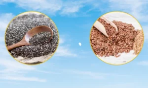 health benefits of Flax and Chia seeds