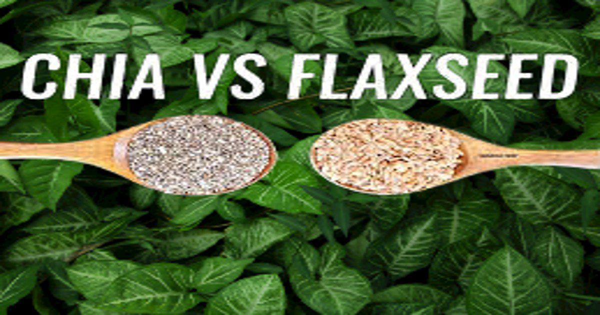 health benefits of flax and chia seeds