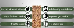 Health Benefits of flax and chia seeds