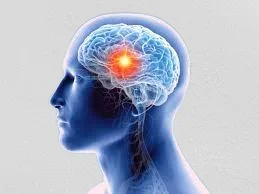 World Brain Tumor Day