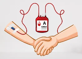 Types of Blood Groups