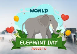 World Elephant Day