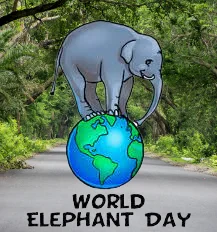 World Elephant Day 2023