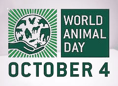 World Animal Day