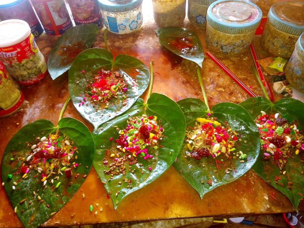 MITHUNA SANKRANTI