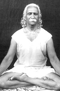 Swami Kavalayananda